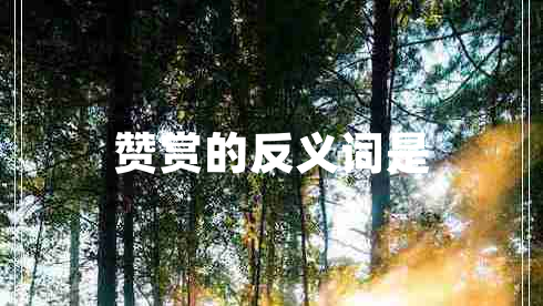 贊賞的反義詞是