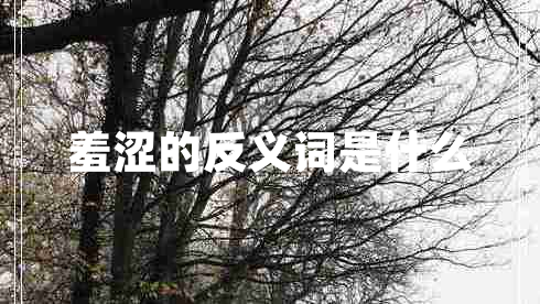 羞澀的反義詞是什么