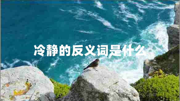 冷靜的反義詞是什么