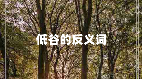 低谷的反義詞