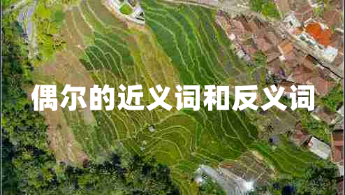 偶爾的近義詞和反義詞