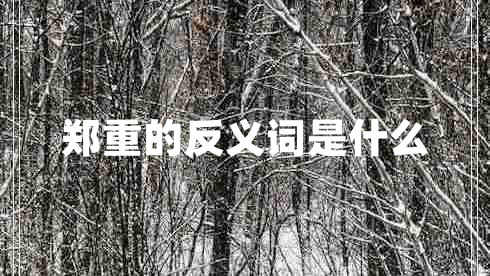 鄭重的反義詞是什么