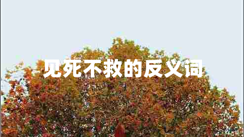 見死不救的反義詞