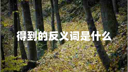 得到的反義詞是什么