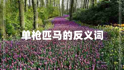 單槍匹馬的反義詞