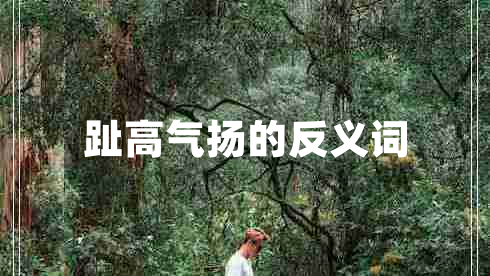 趾高氣揚(yáng)的反義詞 趾高氣揚(yáng)的反義詞