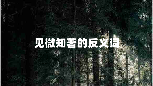 見(jiàn)微知著的反義詞