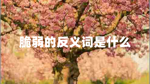 脆弱的反義詞是什么