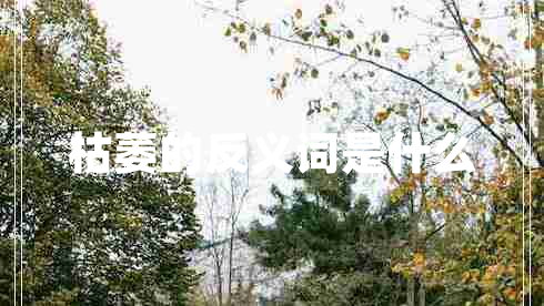 枯萎的反義詞是什么