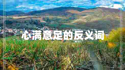 心滿意足的反義詞