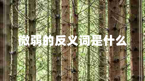 微弱的反義詞是什么