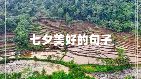 七夕美好的句子