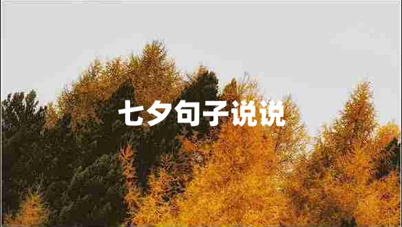 七夕句子說(shuō)說(shuō) 七夕句子說(shuō)說(shuō)