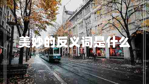 美妙的反義詞是什么