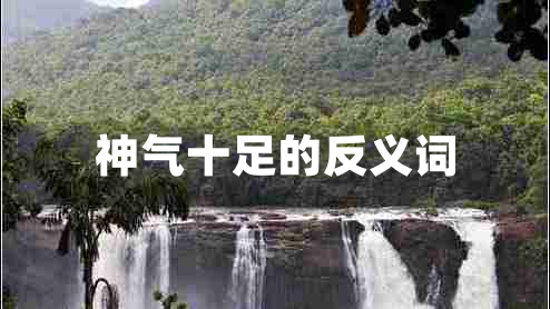 神氣十足的反義詞