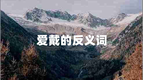 愛戴的反義詞