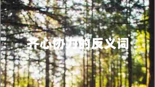 齊心協(xié)力的反義詞