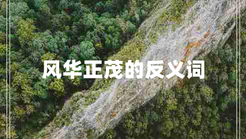 風華正茂的反義詞