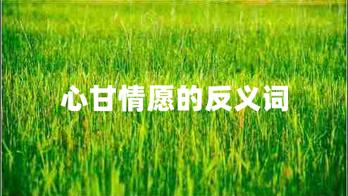 心甘情愿的反義詞