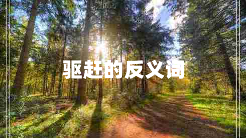 驅(qū)趕的反義詞