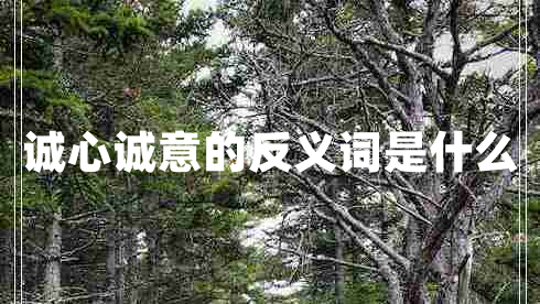 誠心誠意的反義詞是什么