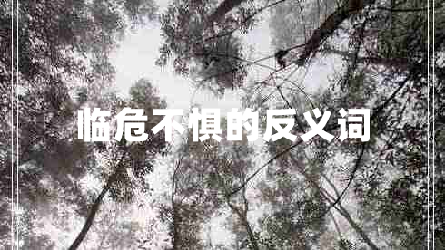 臨危不懼的反義詞