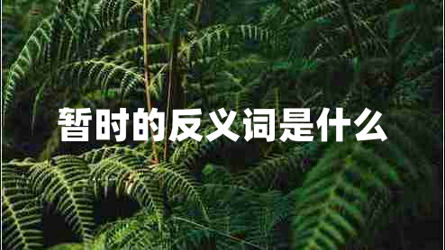 暫時的反義詞是什么