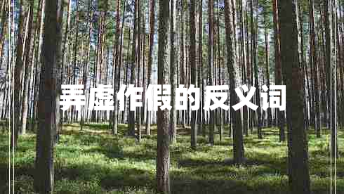 弄虛作假的反義詞