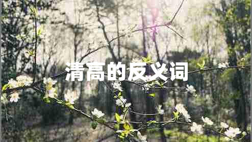 清高的反義詞