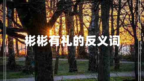 彬彬有禮的反義詞