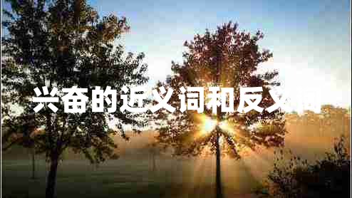 興奮的近義詞和反義詞