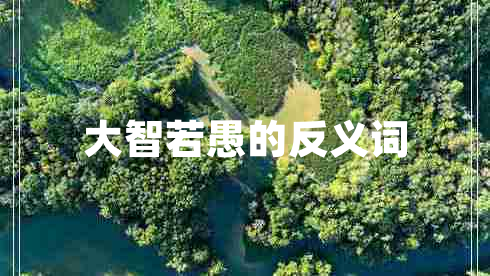 大智若愚的反義詞