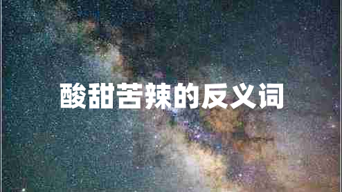 酸甜苦辣的反義詞