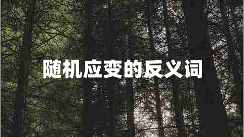 隨機應(yīng)變的反義詞