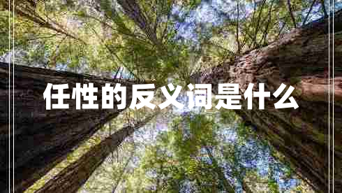 任性的反義詞是什么