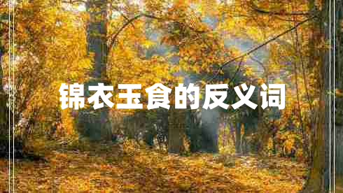 錦衣玉食的反義詞