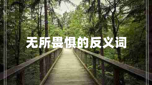 無(wú)所畏懼的反義詞