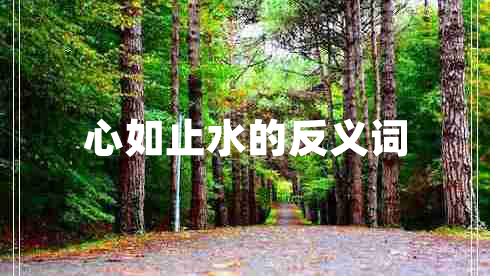 心如止水的反義詞