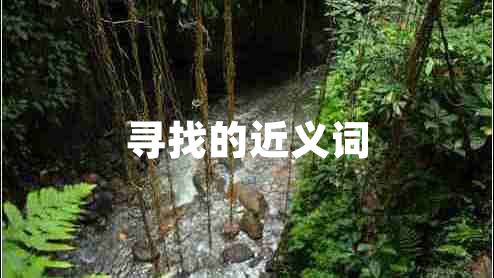 尋找的近義詞
