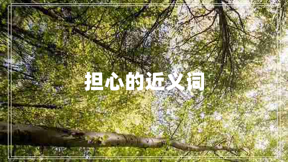 擔(dān)心的近義詞