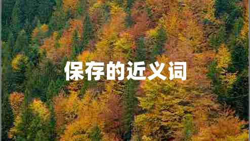 保存的近義詞