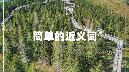 簡(jiǎn)單的近義詞