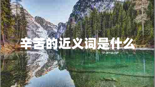 辛苦的近義詞是什么