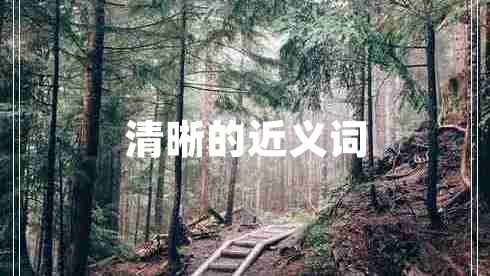 清晰的近義詞