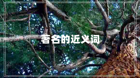 著名的近義詞