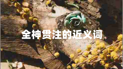 全神貫注的近義詞