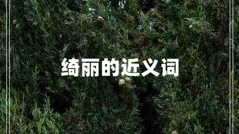 綺麗的近義詞
