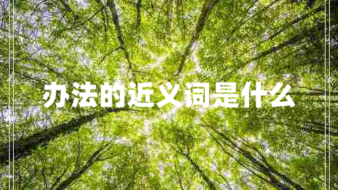 辦法的近義詞是什么