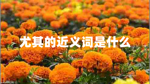 尤其的近義詞是什么