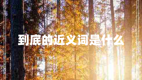 到底的近義詞是什么